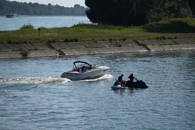 DSC_8224.JPG
