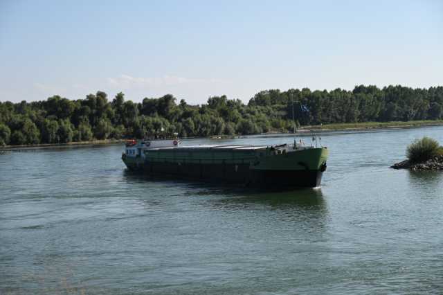 DSC_8244.JPG