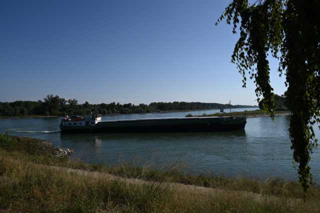 DSC_8250.JPG