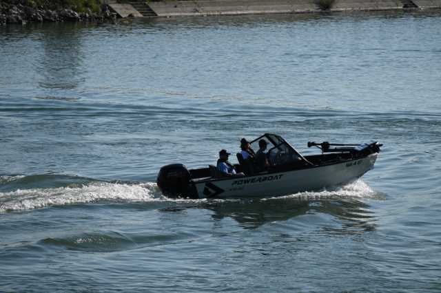 DSC_8262.JPG