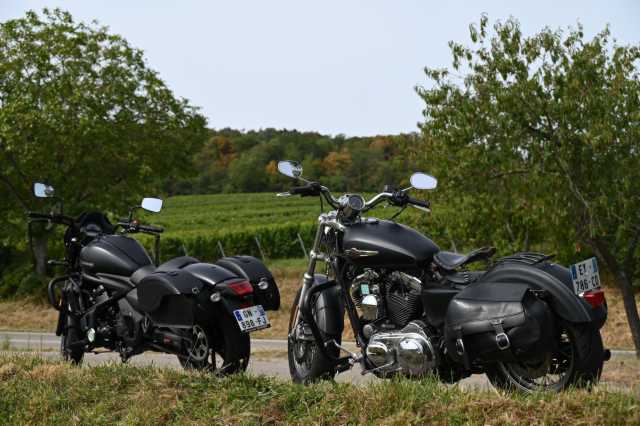 DSC_8301.JPG