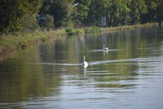 DSC_1914.JPG