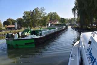 DSC_1947.JPG