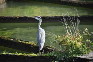 DSC_1973.JPG