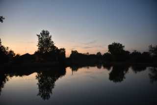 DSC_2010.JPG
