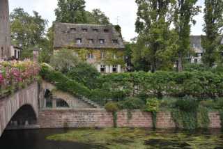 DSC_2104.JPG