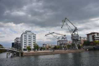 DSC_2116.JPG