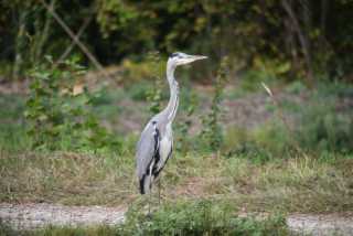 DSC_2254.JPG