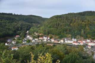 DSC_2446.JPG