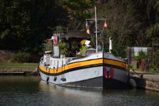 DSC_2501.JPG
