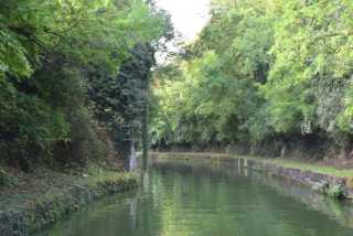 DSC_2596.JPG