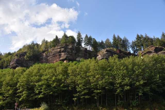DSC_1682.JPG