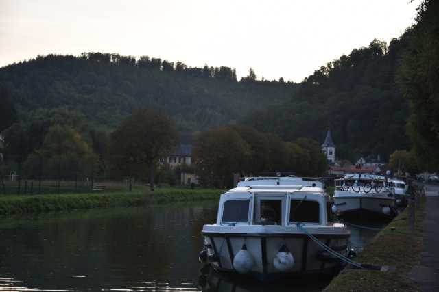 DSC_1703.JPG