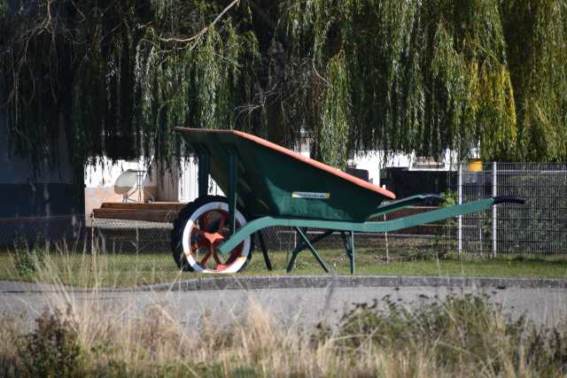DSC_1831.JPG