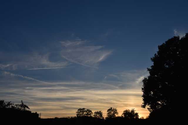 DSC_1855.JPG