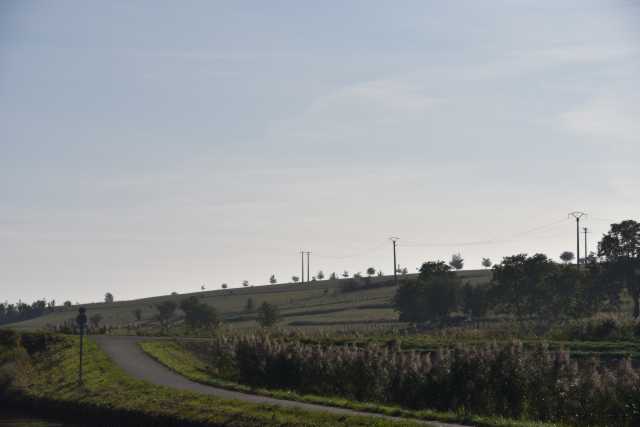 DSC_1872.JPG