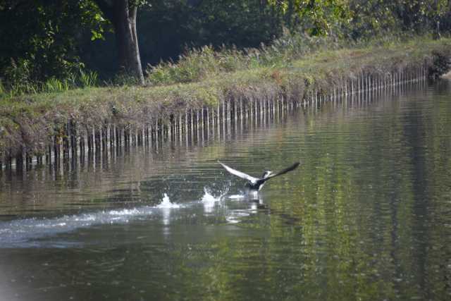 DSC_1886.JPG
