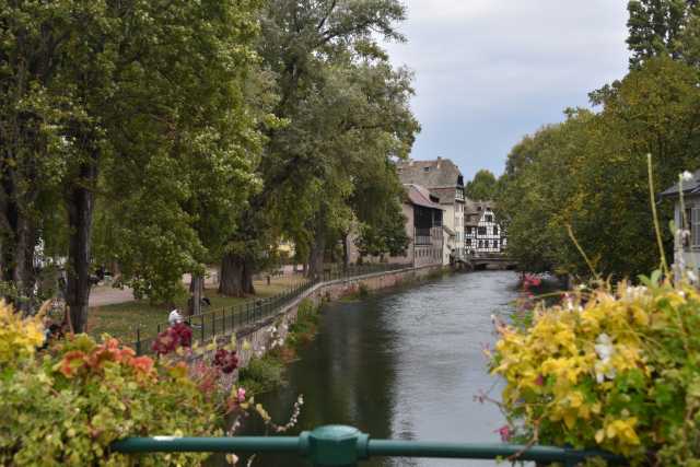 DSC_2099.JPG