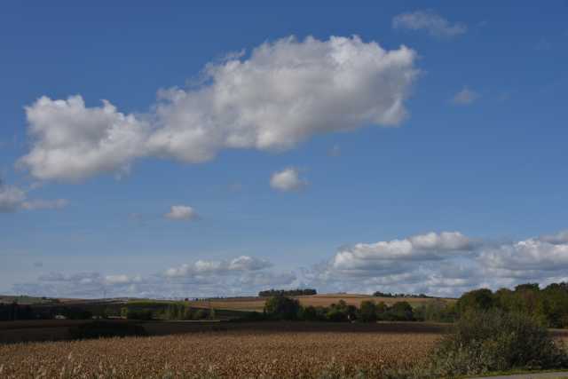 DSC_2162.JPG