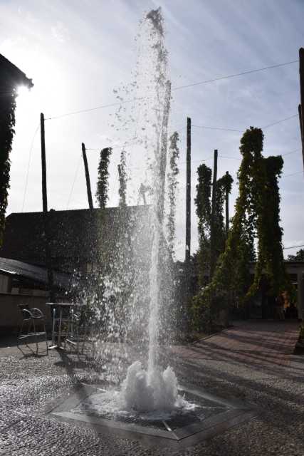 DSC_2228.JPG