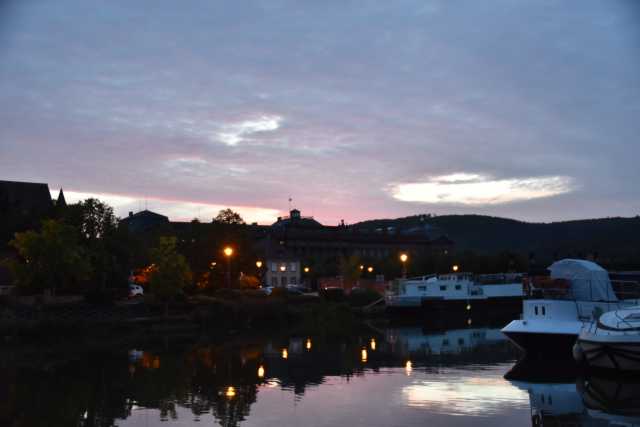 DSC_2310.JPG