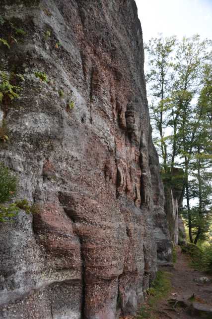 DSC_2485.JPG