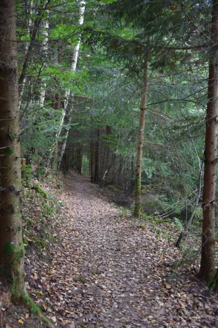 DSC_2489.JPG