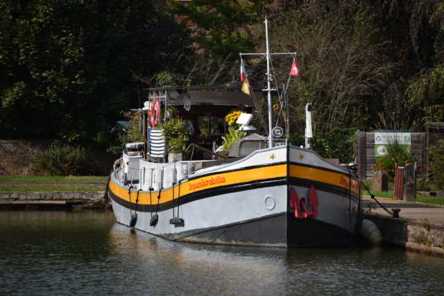 DSC_2501.JPG