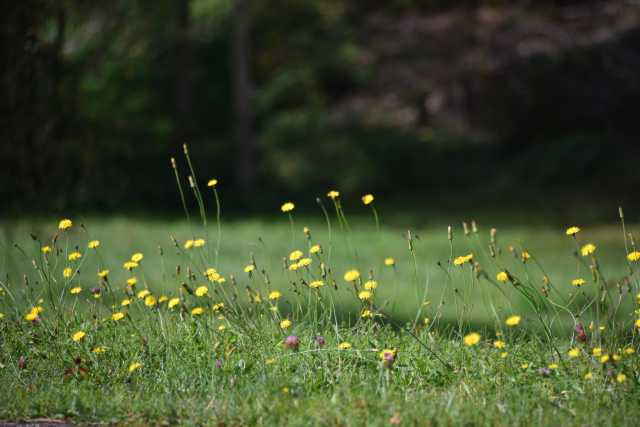 DSC_2508.JPG