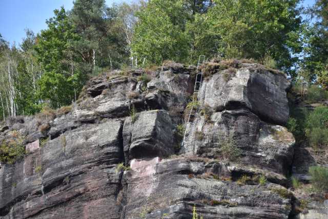 DSC_2512.JPG