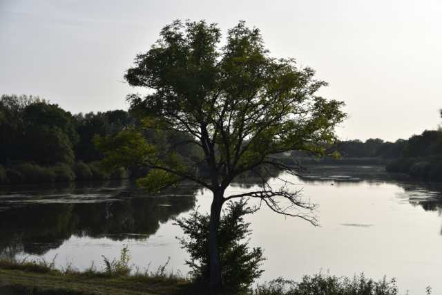 DSC_2629.JPG