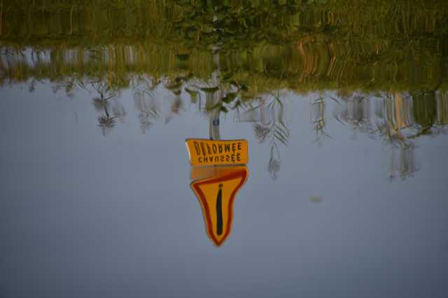 DSC_2636.JPG