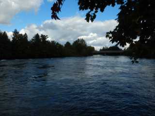 DSCN7049.JPG