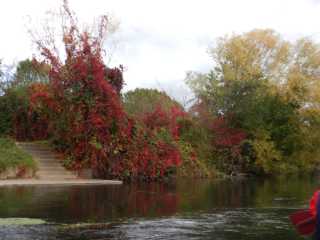 DSCN7068.JPG