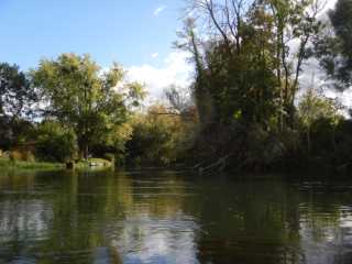DSCN7083.JPG