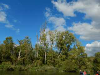 DSCN7101.JPG