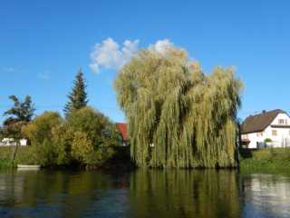 DSCN7108.JPG