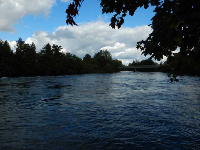 DSCN7049.JPG