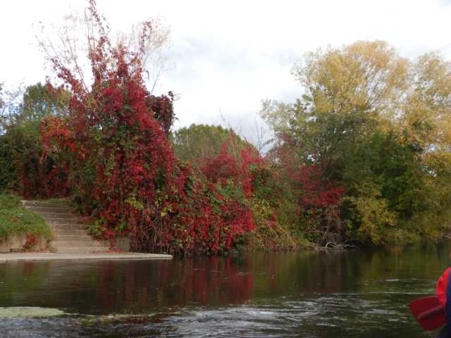 DSCN7068.JPG