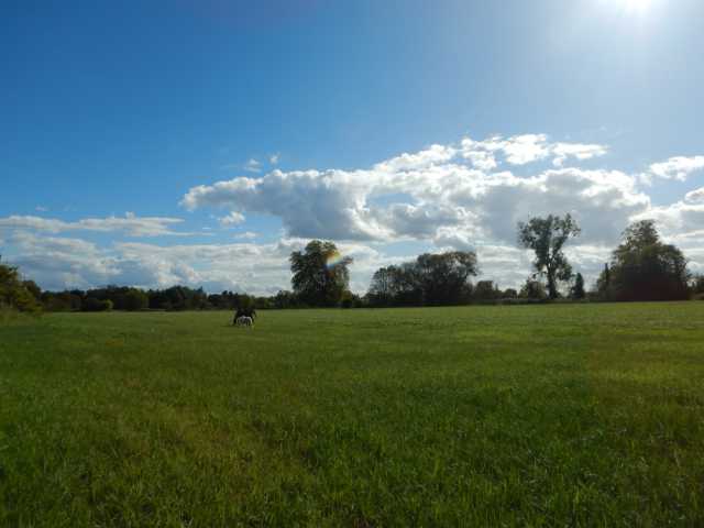 DSCN7093.JPG