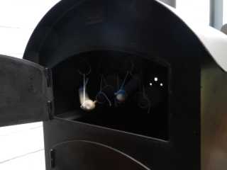 DSCN7198.JPG