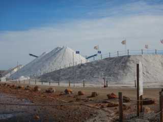 DSCN7293.JPG