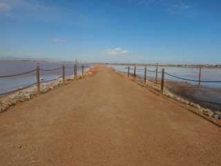 DSCN7294.JPG