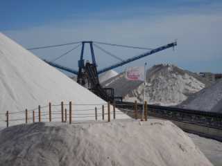 DSCN7308.JPG