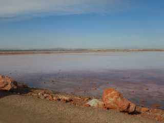 DSCN7316.JPG