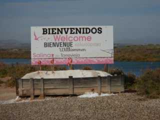 DSCN7323.JPG