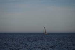 DSC_8367.JPG