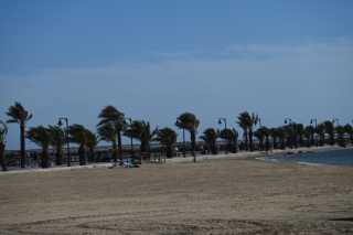 DSC_8402.JPG