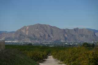 DSC_8526.JPG
