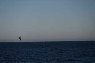 DSC_8538.JPG